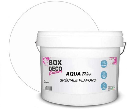 peinture aqua plafond 10