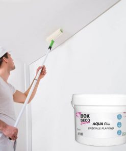 peinture-speciale-plafond-10L