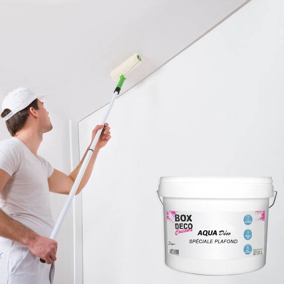 Peinture acrylique murs et plafond blanc mat 10L