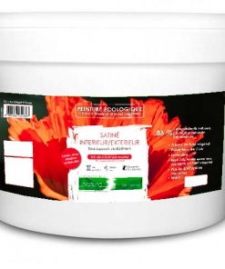 peinture satin interieur exterieur 10l