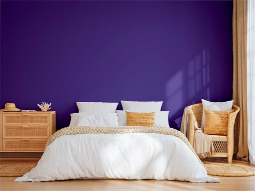 ADUCHAMBRE_VIOLET_VELOURS