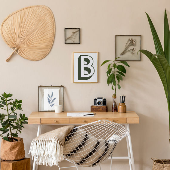 bureau jungle